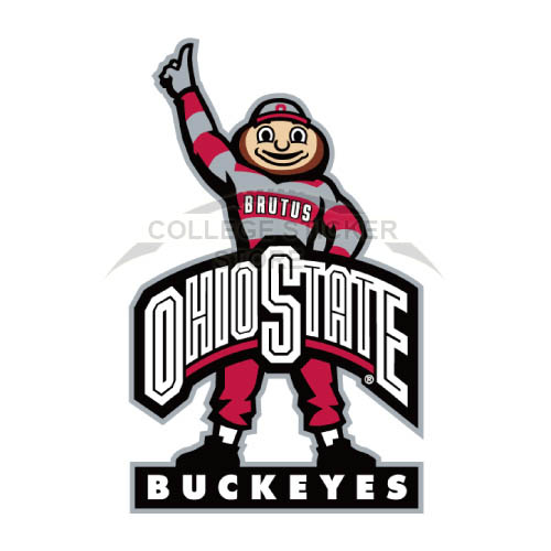 Personal Ohio State Buckeyes Iron-on Transfers (Wall Stickers)NO.5743